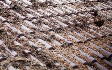 Lower Bullingham roof cleaning companies